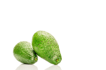 Ripe avocado , isolated on white background, close-up.