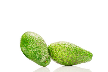 Ripe avocado , isolated on white background, close-up.
