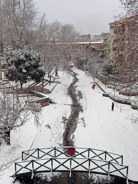 Peaceful winter morning with falling snow