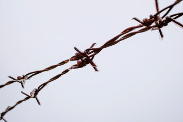 a close-up photograph of a section of rusty barbed wire covered in ice crystals on a cold winter day