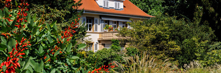 Cockspur coral tree blooms in front of a charming house surrounded by lush greenery in a sunny garden setting