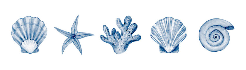 Sea set watercolor illustration. Watercolor hand drawn sea shells isolated on white background