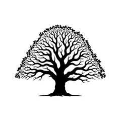  Clean Minimalist Vector Silhouette of a Mature Gnarled Oak Tree Shape