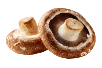 Fresh brown mushrooms isolated on transparent background. Two fresh brown mushrooms isolated on white background.