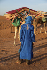 Un dromadaire dans le d&eacute;sert marocain