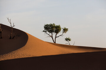 Une dune de sable dans le d&eacute;sert marocain.