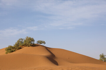 Une dune de sable dans le d&eacute;sert marocain.