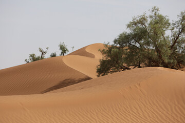 Une dune de sable dans le d&eacute;sert marocain.