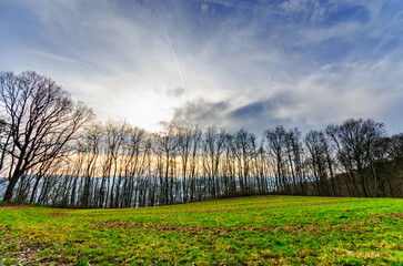 Bare trees line a grassy hill under a dramatic cloudy sky with a contrail