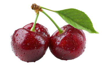 Fresh ripe cherries with water droplets isolated on transparent background. Two fresh cherries with water droplets and leaf isolated on white background.