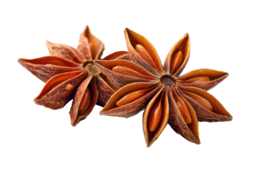 Star anise spice pods isolated on transparent background. Two star anise spice pods isolated on white background.