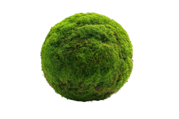 Green moss ball isolated on transparent background. Spherical moss ball isolated on white background, 3d rendering.