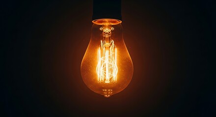 Close up photograph features a brightly glowing vintage edison incandescent light bulb illuminating the deep darkness with warm tungsten filaments visible inside.