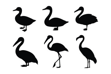Fototapeta premium Silhouette set of various water birds including flamingo and duck