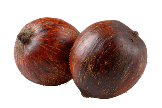 Two ripe brown coconut isolated on transparent background. Whole coconuts with brown fibrous outer shell isolated on white background. - Powered by Adobe