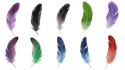 A collection of colorful feathers on transparent background