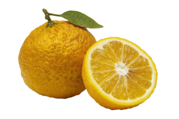 Whole and halved lemon fruit isolated on transparent background. Whole lemon fruit and a juicy half slice isolated on white background.