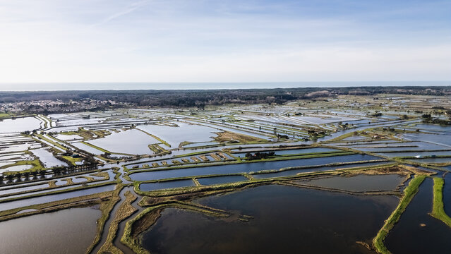 drone view of the salt marshes of Ile d Olonne, Vendee, France