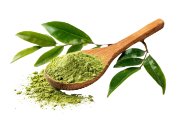 Wooden spoon filled with green tea powder and fresh leaves isolated on transparent background. Green tea powder on wooden spoon with fresh leaves isolated on white background.