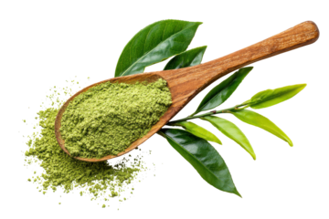 Wooden spoon filled with green tea powder and fresh tea leaves isolated on transparent background. Tea powder in wooden spoon with fresh green tea leaves isolated on white background.