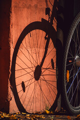 Fahrrad in der tiefstehenden Abendsonne