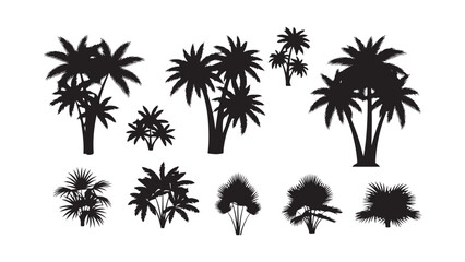 Tropical palm tree silhouettes collection