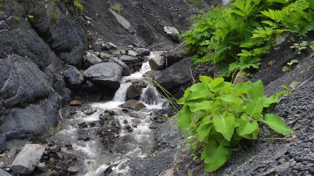A beautiful mountain small waterfall with fast-flowing water and lush green vegetation flows through the rocky landscape of the Northern Caucasus, Russia. This natural scenic outdoor background in Dag