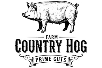 pig,
Fresh Pig Graphic Illustration, Hand Drawn Pig Vector