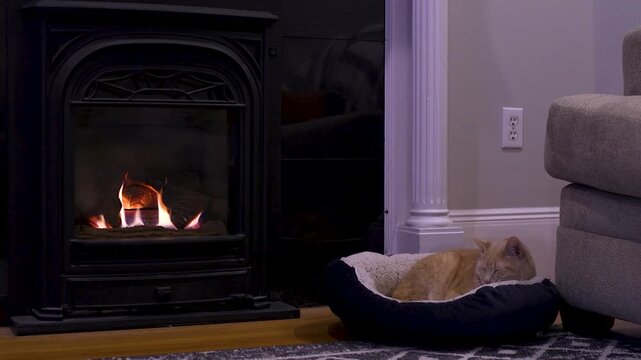 Orange tabby cat getting cozy in cat bed by a dimly lit gas fireplace during the day
