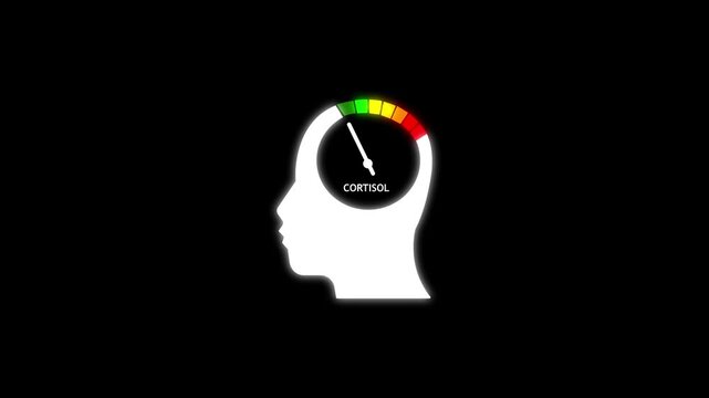 Human head silhouette with thinking meter animation. Brain activity gauge showing mental state and focus level. Abstract psychology and mindset indicator visualization. Using brain level.