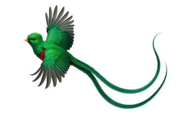 A majestic resplendent quetzal bird in dynamic flight showcasing its vibrant green plumage isolated on transparent background
