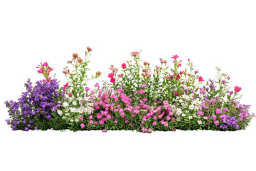Colorful wildflower meadow arrangement isolated on transparent background. Bush of flowers on white background.