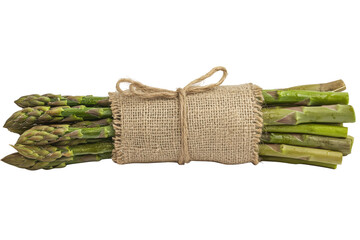 Bundle of fresh green asparagus tied with twine isolated on transparent background. Close-up of a fresh raw asparagus bunch tied with a burlap twine isolated on a white background.
