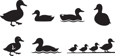 Fototapeta premium Various duck silhouettes with ducklings walking in a line