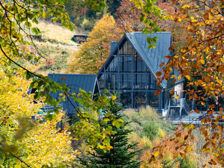 Modern wooden A-frame house in autumn forest. Nakhazo camping site. Not AI