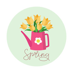 Flowers, yellow tulips in pink watering can. Calligraphic inscription, spring. International Women's Day, March 8. Flat illustration, isolated on background.
