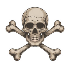 Skull and Crossbones white skull isolated on a transparent background