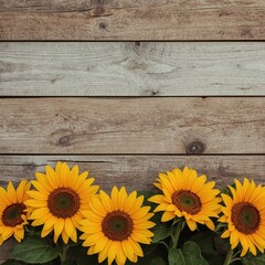 sunflower on wooden background