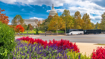 Tourism scene near US Capitol with tour buses and autumn foliage in Washington DC