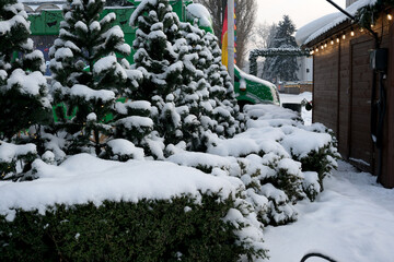 Snow-covered trees create a winter wonderland in a cozy setting