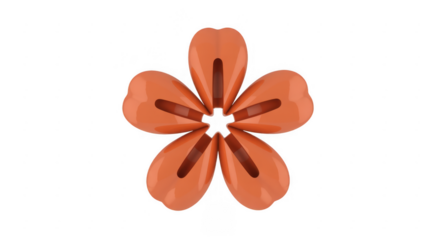 Orange Flower isolated floral isolated on a transparent background