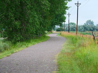 Winding Paved Trail Through Green Landscape on Overcast Summer Day