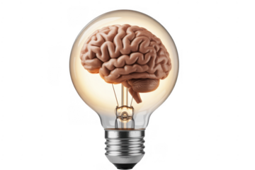 Brain Inside Light Bulb idea inspiration isolated on a transparent background