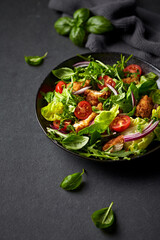 Chicken salad with greens, cherry tomatoes, red onion and fresh herbs. Copy space