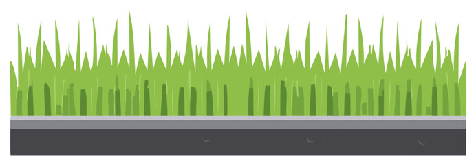 Fototapeta premium Green grass border with texture and asphalt layer below