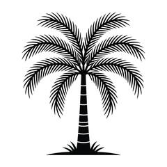 a black silhouette of a palm tree on a white background