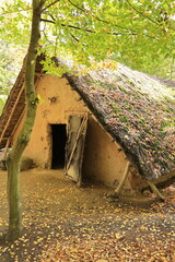 Rekonstruktion eines Steinzeitdorfes in Mecklenburg-Vorpommern	