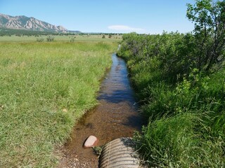 Clear Water Flowing Through a Small Creek Channel in Summer, Colorado