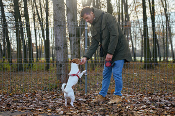Man training small dog on leash in park covered with autumn leaves