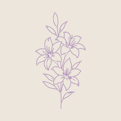 Minimalist lily flower line art vector illustration with elegant petals and leaves. Botanical floral element for wedding invitations, luxury branding, tattoo design, and organic logo aesthetics.